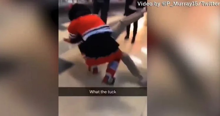 Blackhawks Mascot Gets Into A Wrestling Match With A Fan
